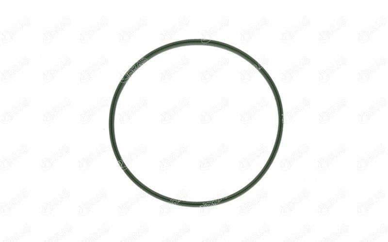 YAKIT DEPO CONTASI İNCE ASTRA H / VECTRA C / SIGNU