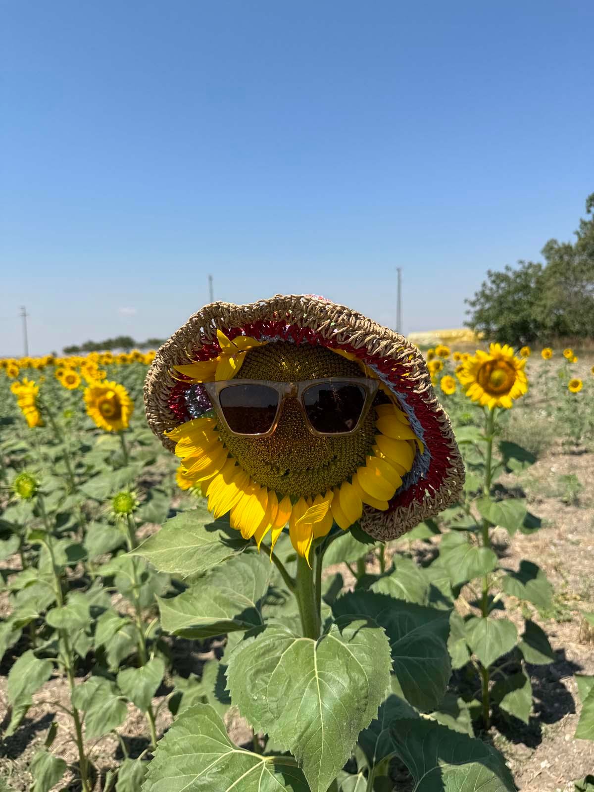 Rainbow Kahve Hasır Şapka
