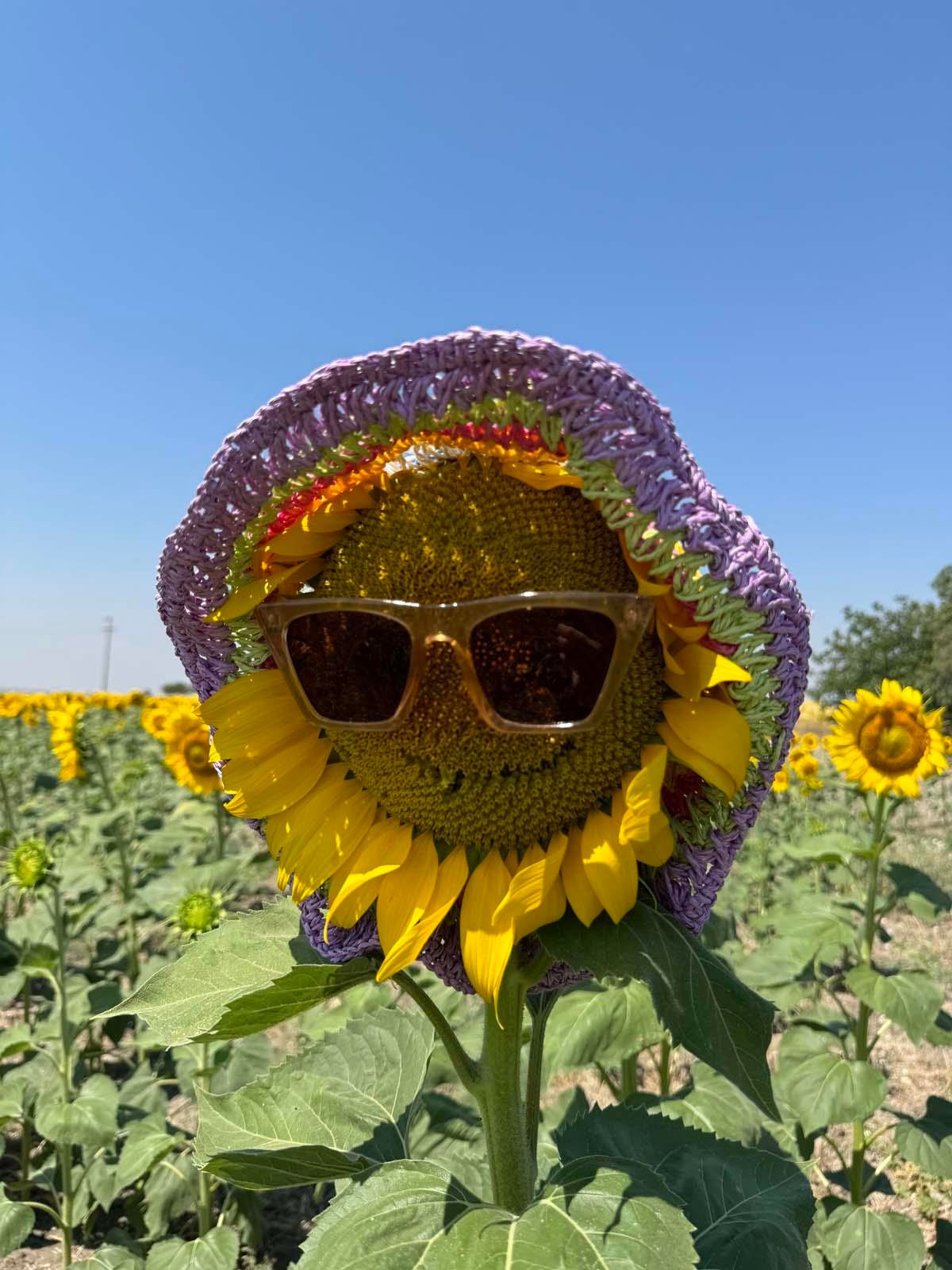 Rainbow Mor Hasır Şapka