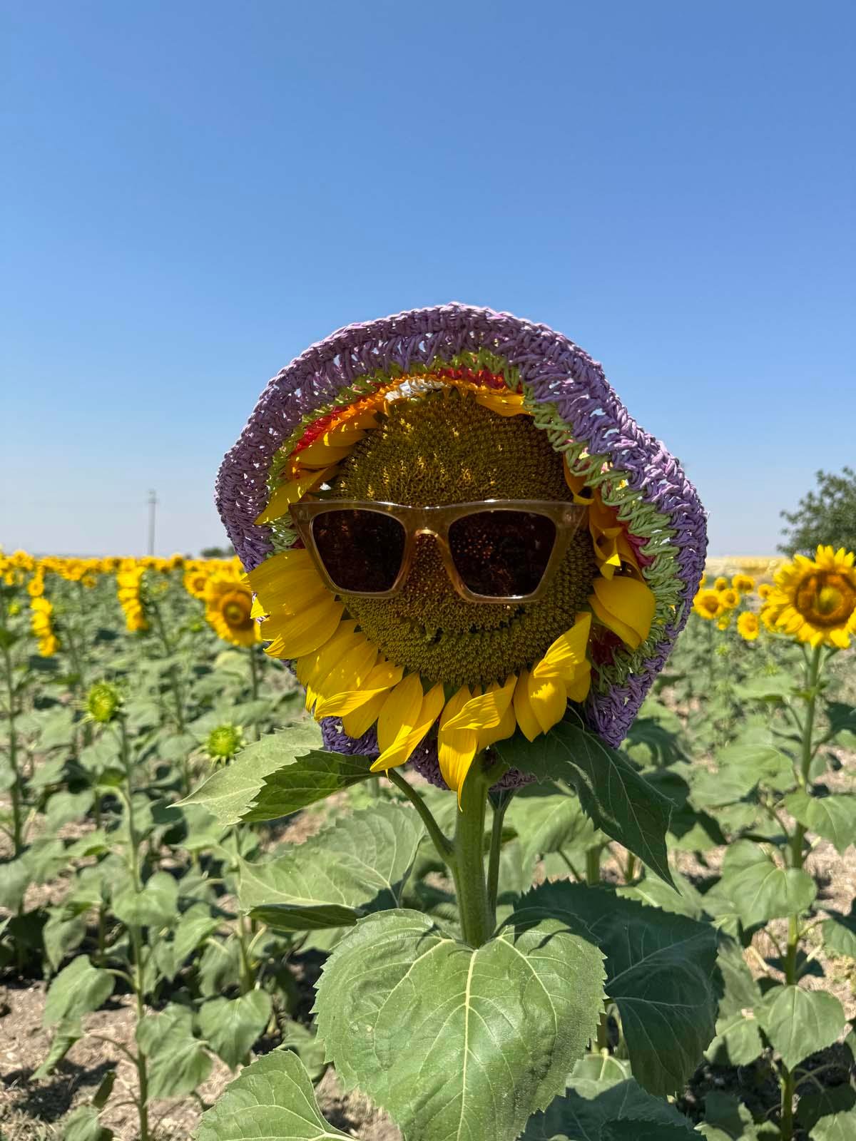 Rainbow Mor Hasır Şapka