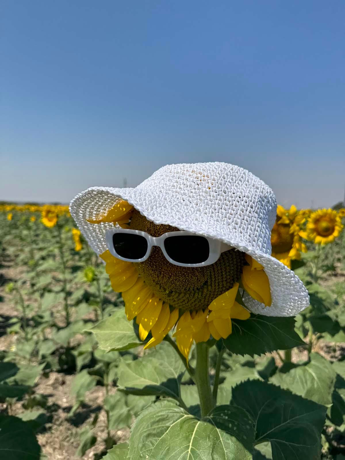 Scarecrow Beyaz Hasır Şapka