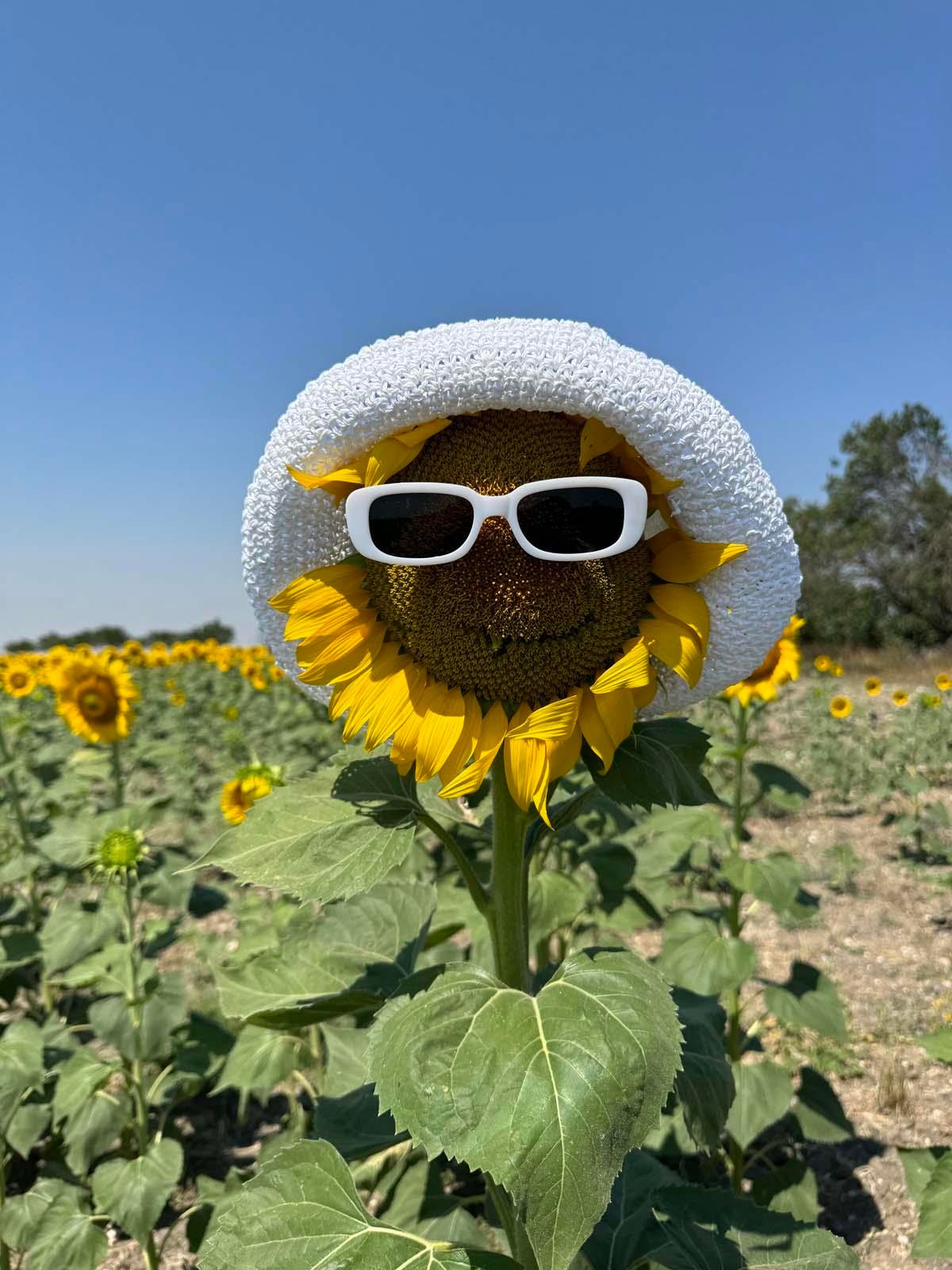 Scarecrow Beyaz Hasır Şapka