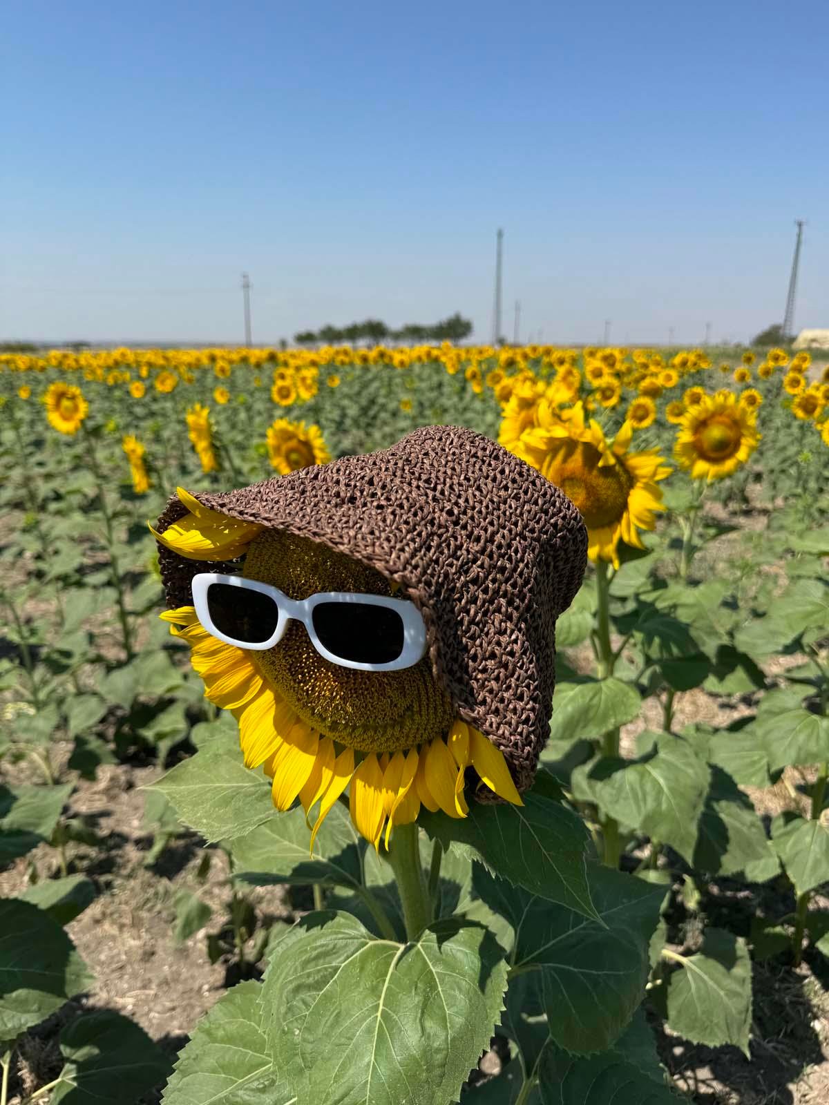 Scarecrow Kahve Hasır Şapka