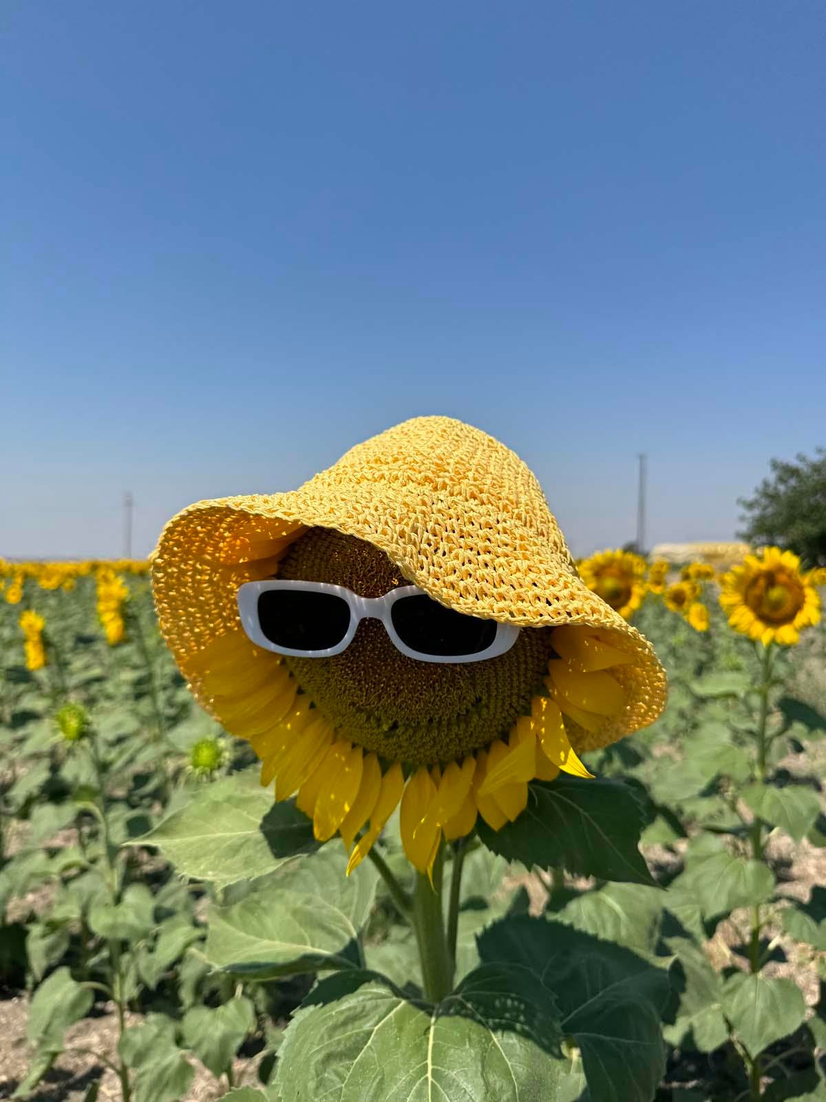 Scarecrow Sarı Hasır Şapka