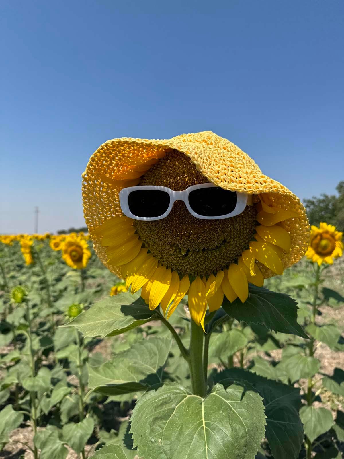 Scarecrow Sarı Hasır Şapka