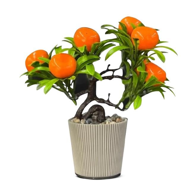 Eva 5741 Meyveli Küçük Ağaç