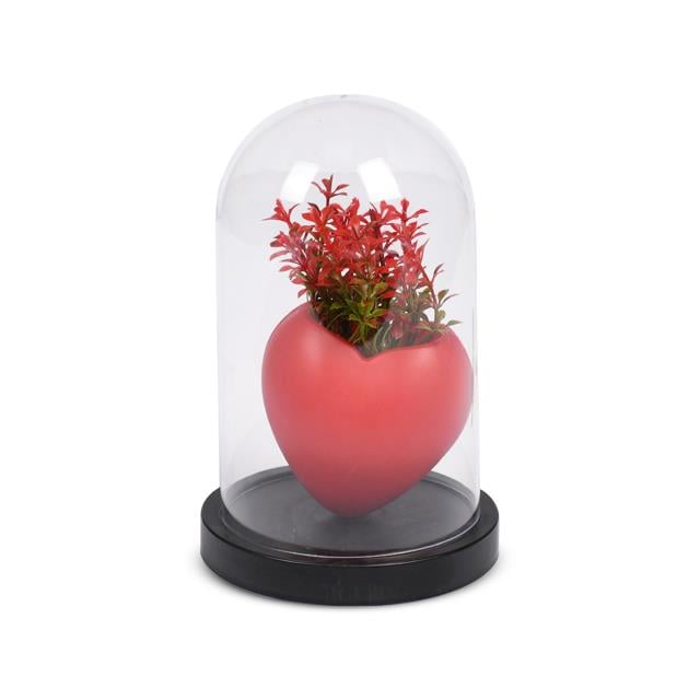 Eva 5753 Kırmızı Kalpli Fanus Çiçek