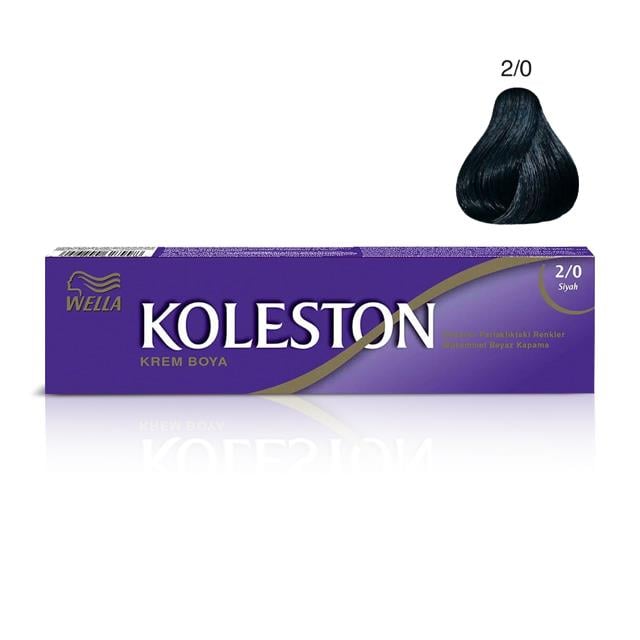 Koleston Tüp Boya 2/0