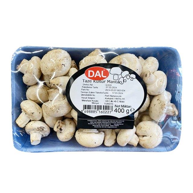 Kültür Mantarı 400 Gr. (Pkt)