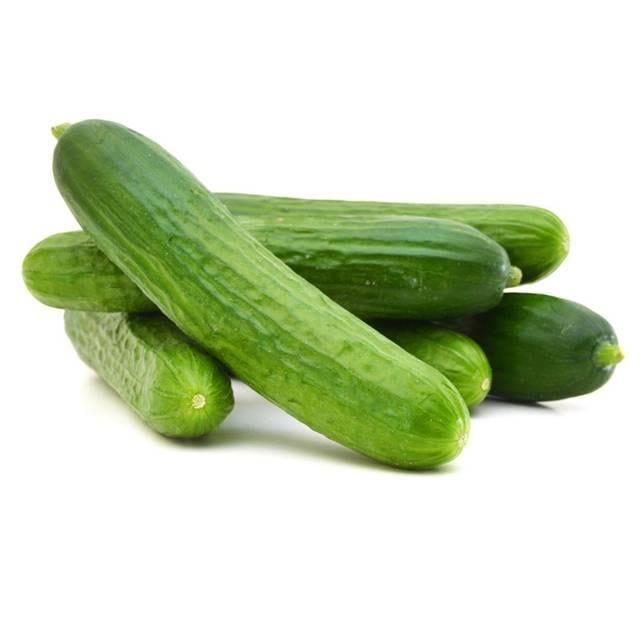 Salatalık (Kg)