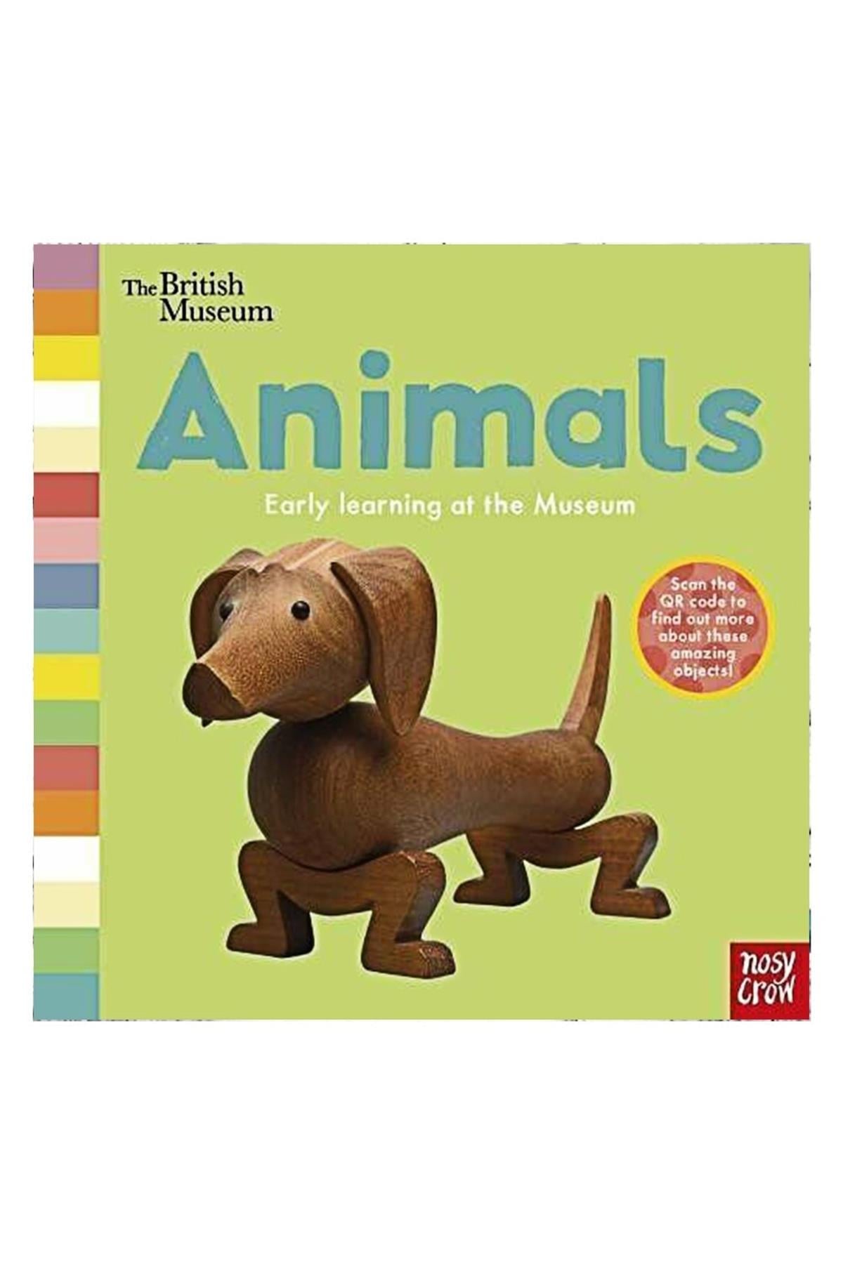 ANIMALS - EARLY LEARNING AT THE MUSEUM Çok Renkli