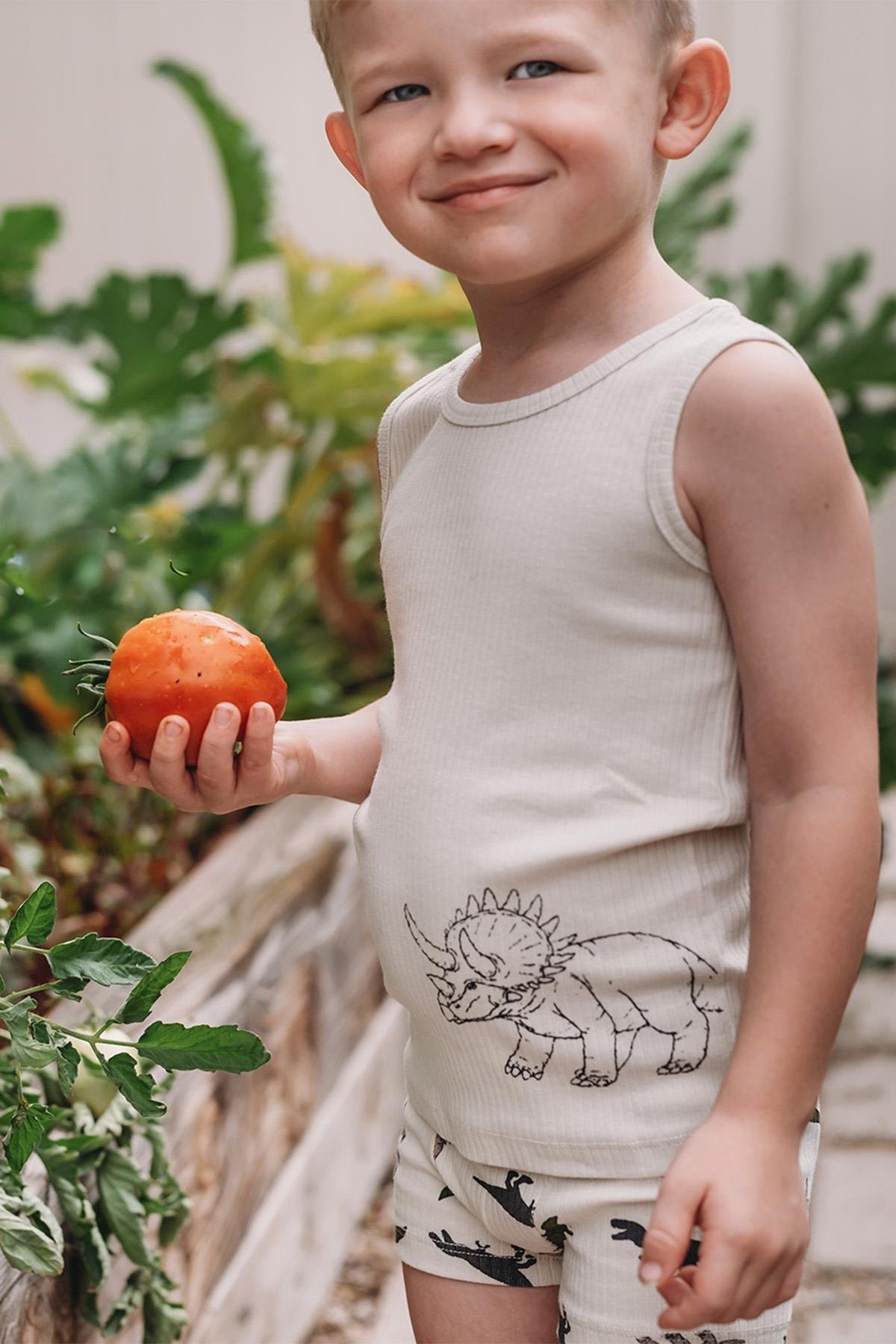 Antebies / Dinazorların Macerası Boxer Üçlü Set Bej