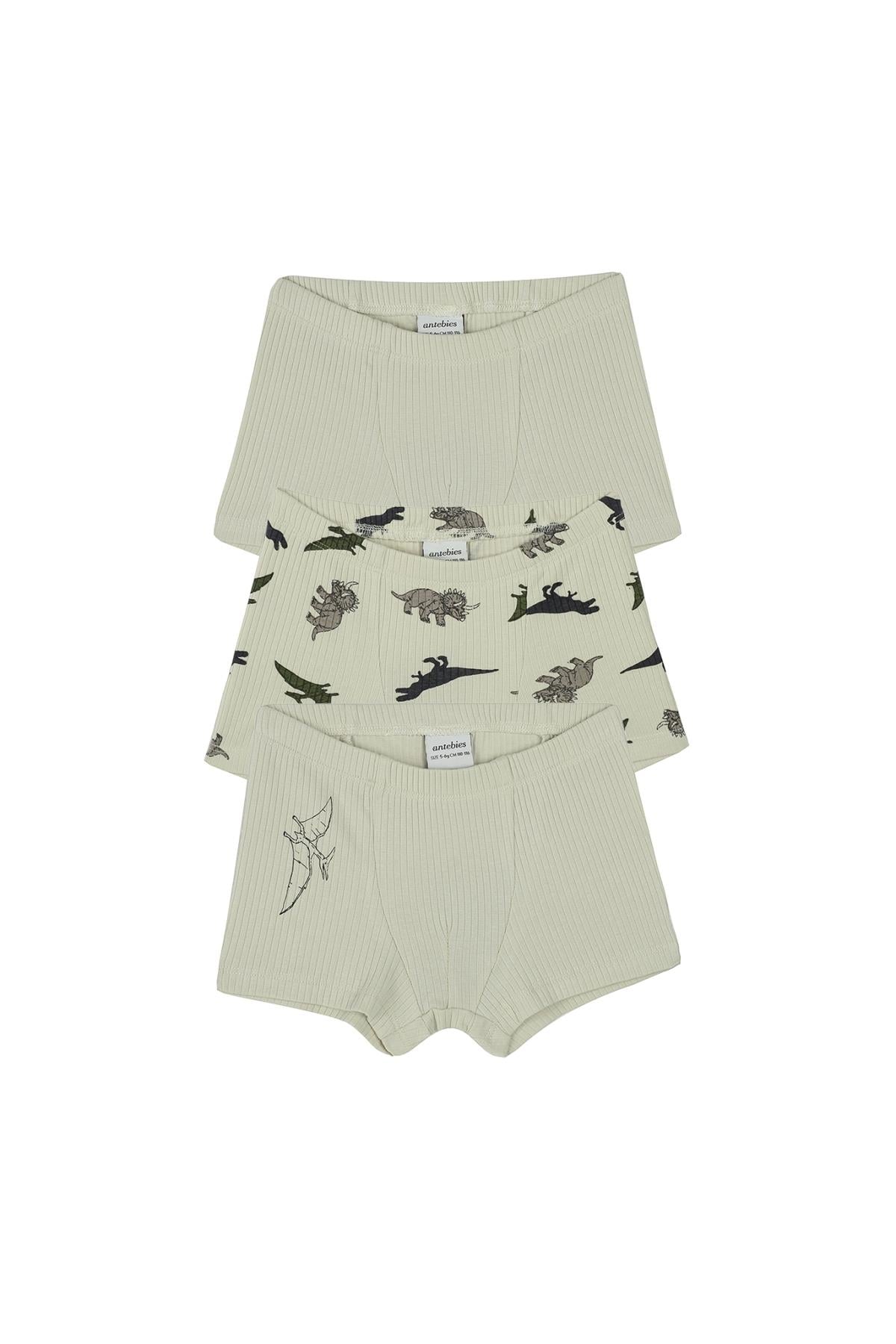 Antebies / Dinazorların Macerası Boxer Üçlü Set Bej