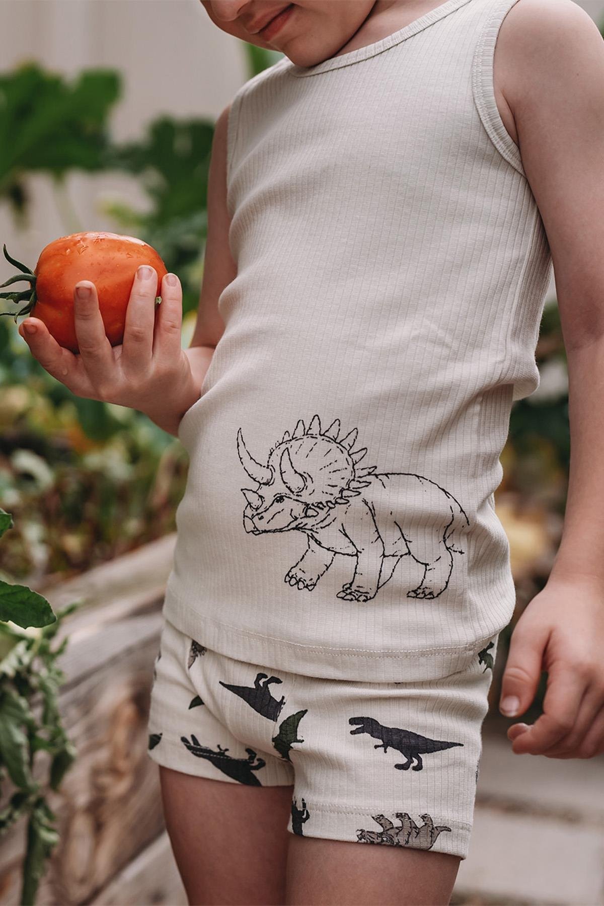 Antebies / Dinazorların Macerası Boxer Üçlü Set Bej
