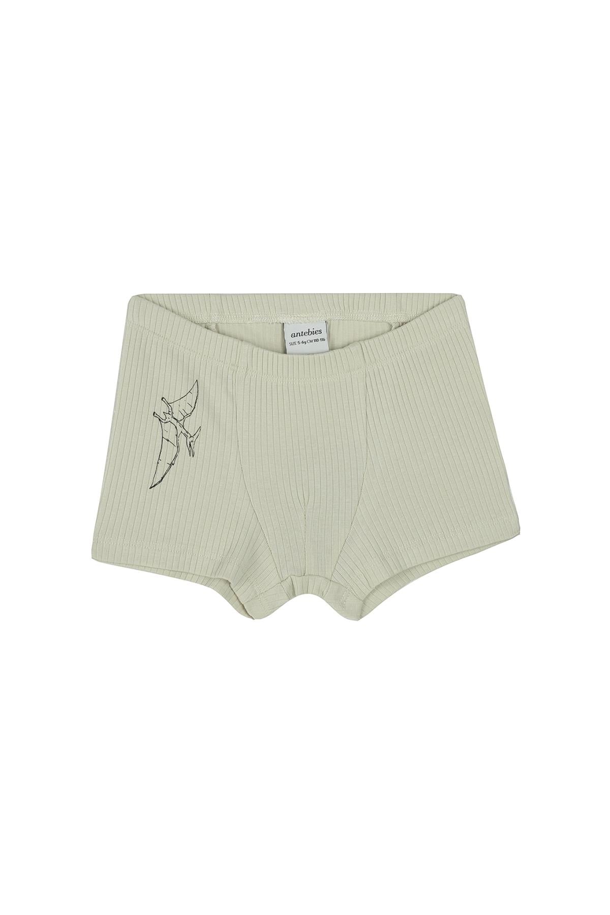 Antebies / Dinazorların Macerası Boxer Üçlü Set Bej