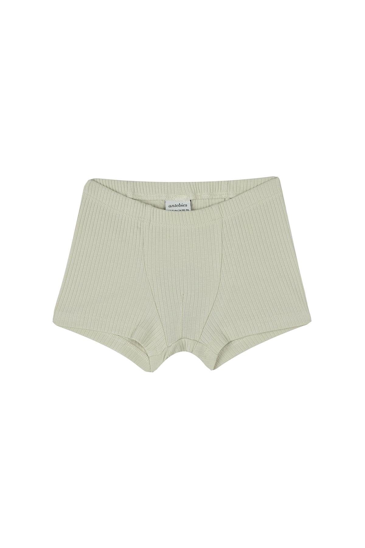 Antebies / Dinazorların Macerası Boxer Üçlü Set Bej