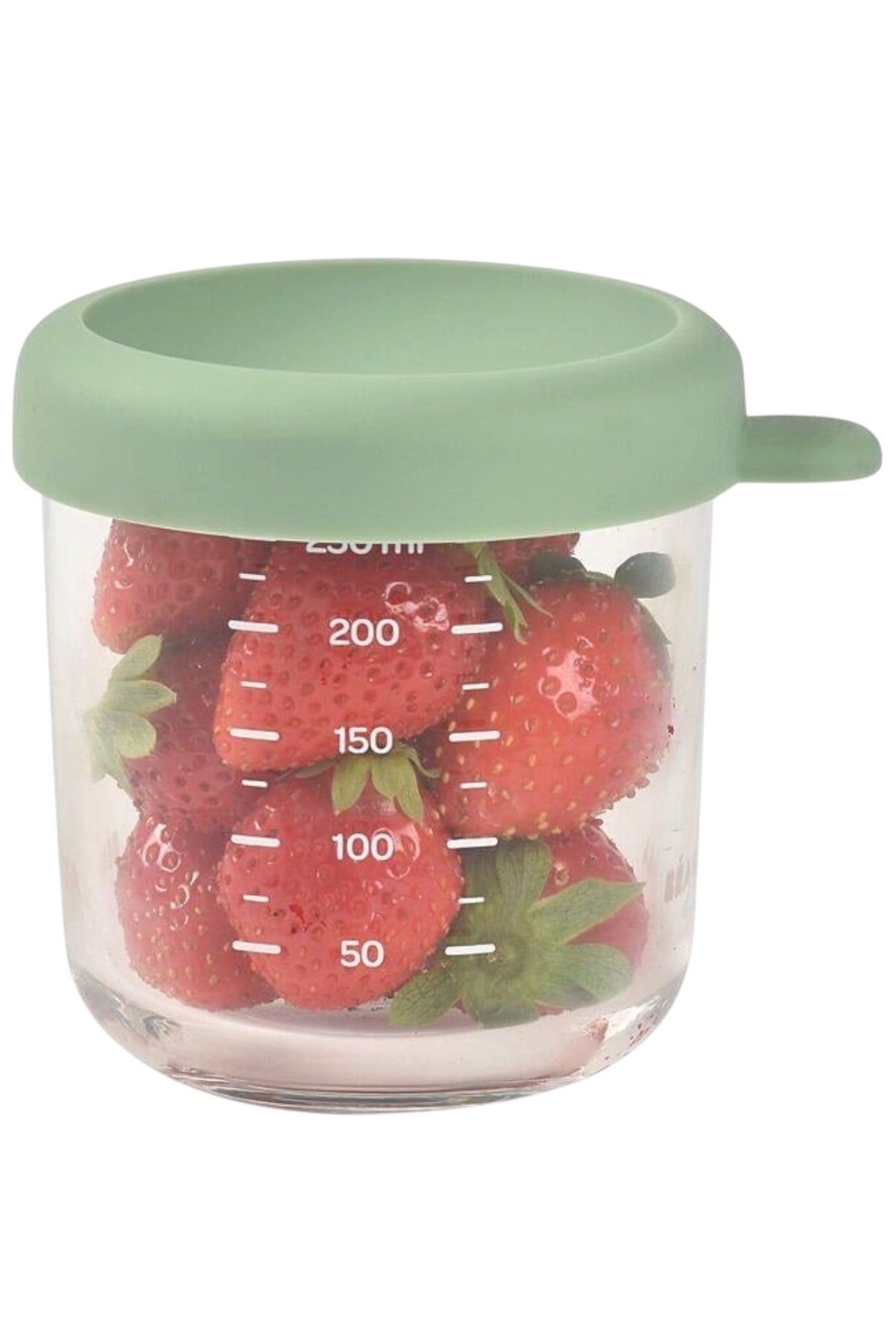 Beaba / Bebek cam mama kavanozu 250 ml / Sage Green Çok Renkli