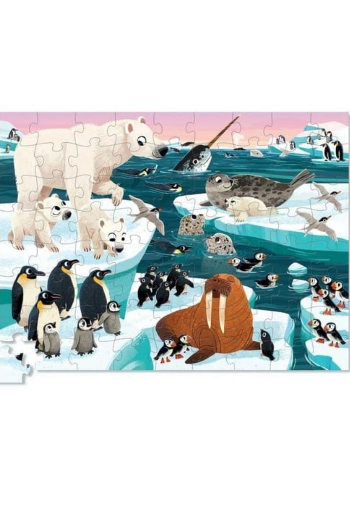 Crocodile Creek Dekoratif Puzzle - 72 Parça - Arctic Animals Çok Renkli