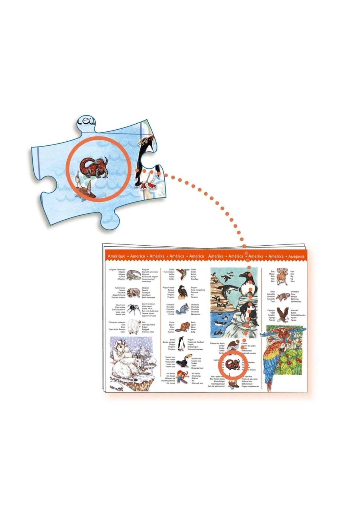 Djeco Klasik Puzzle 100 Parça - World's Animals Çok Renkli