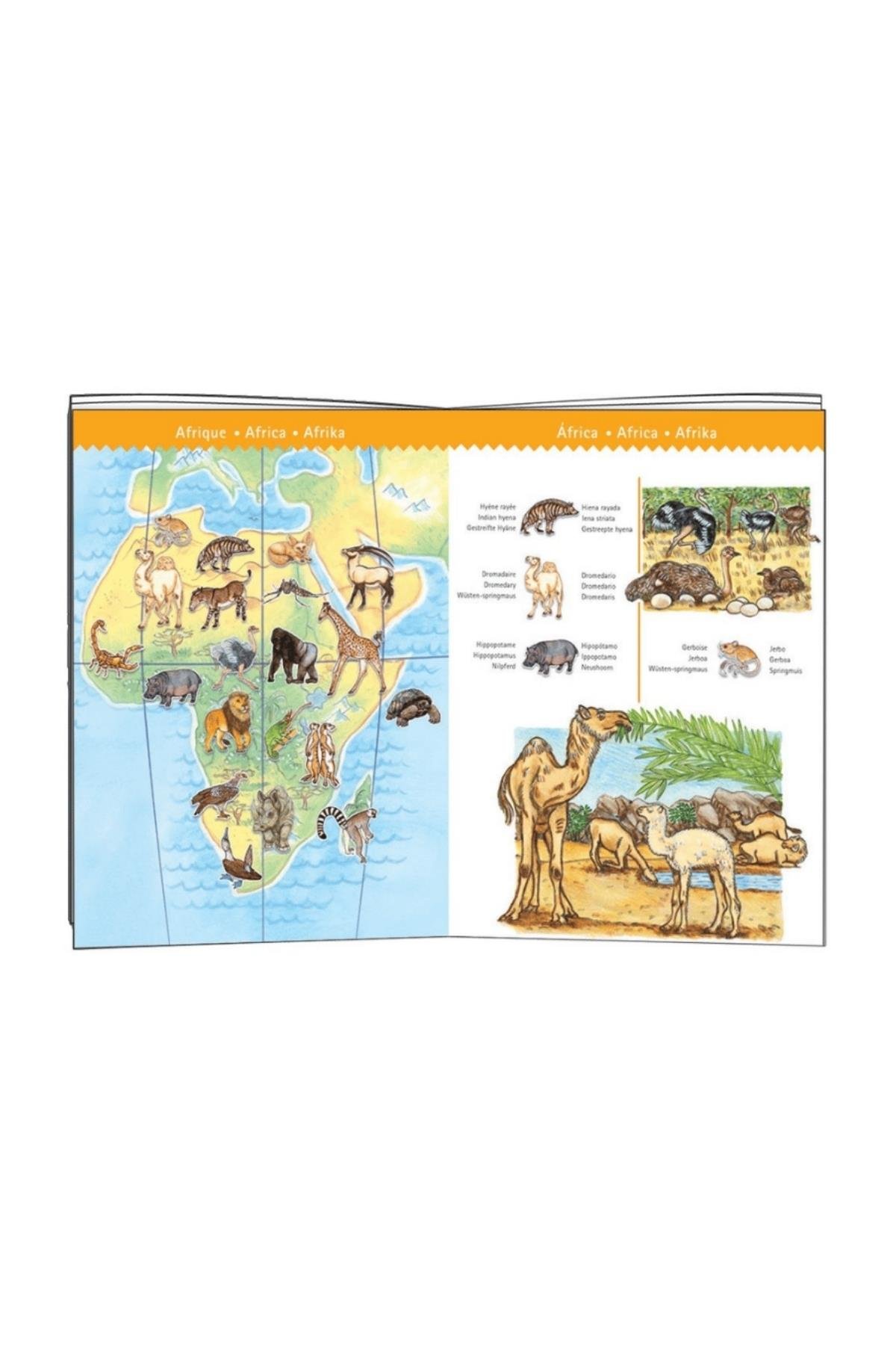 Djeco Klasik Puzzle 100 Parça - World's Animals Çok Renkli