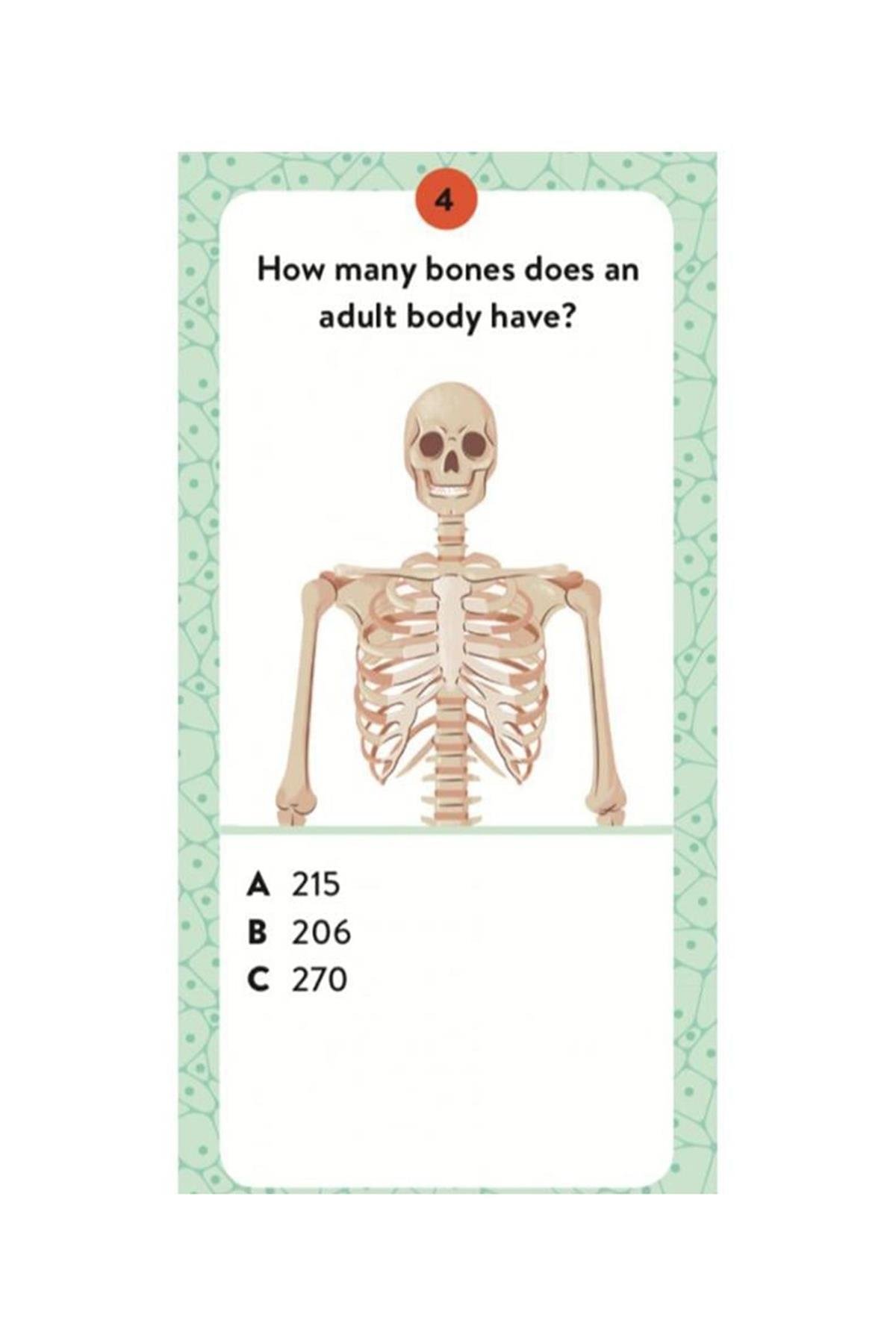 Human Body - The Ultimate Atlas Çok Renkli