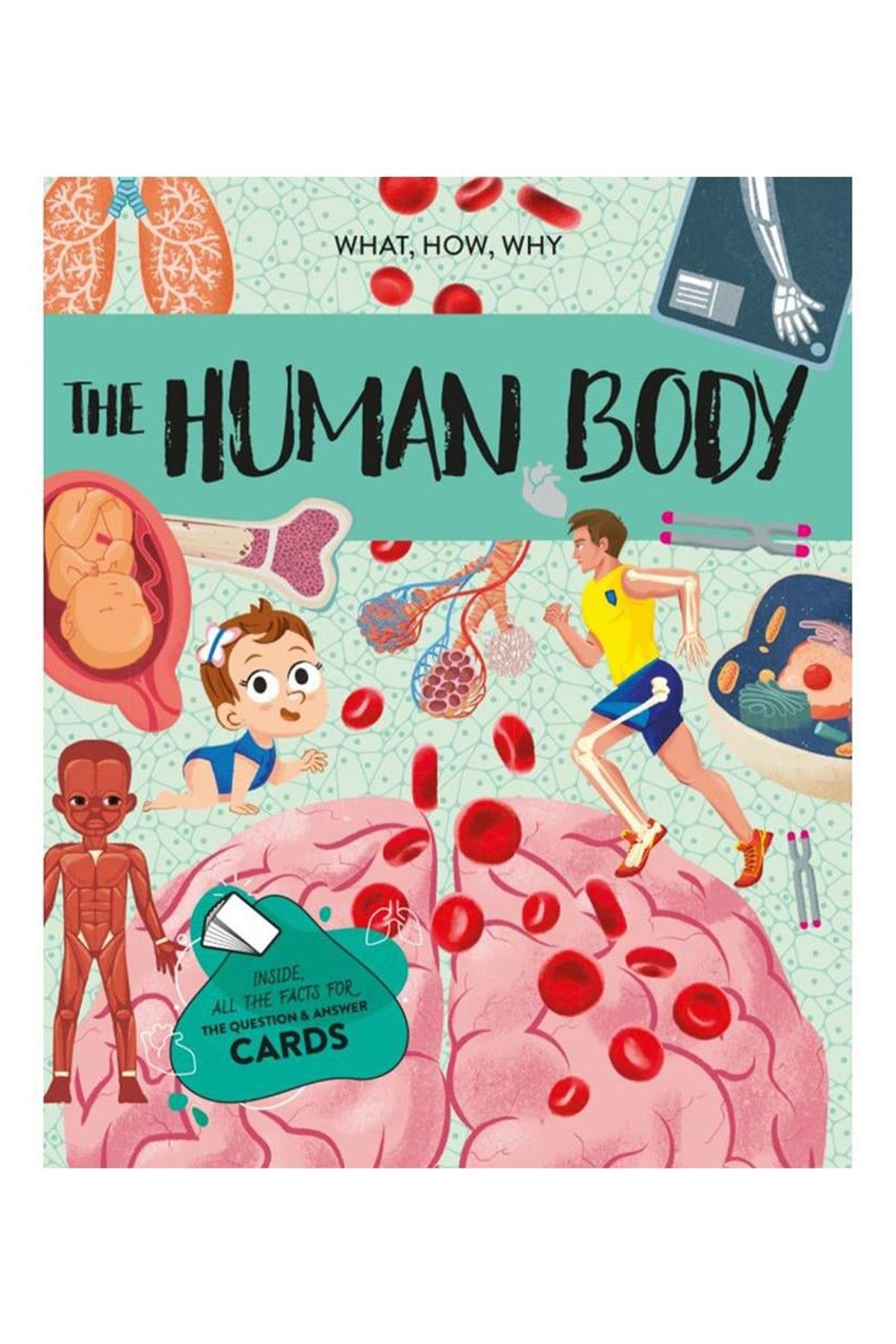 Human Body - The Ultimate Atlas Çok Renkli