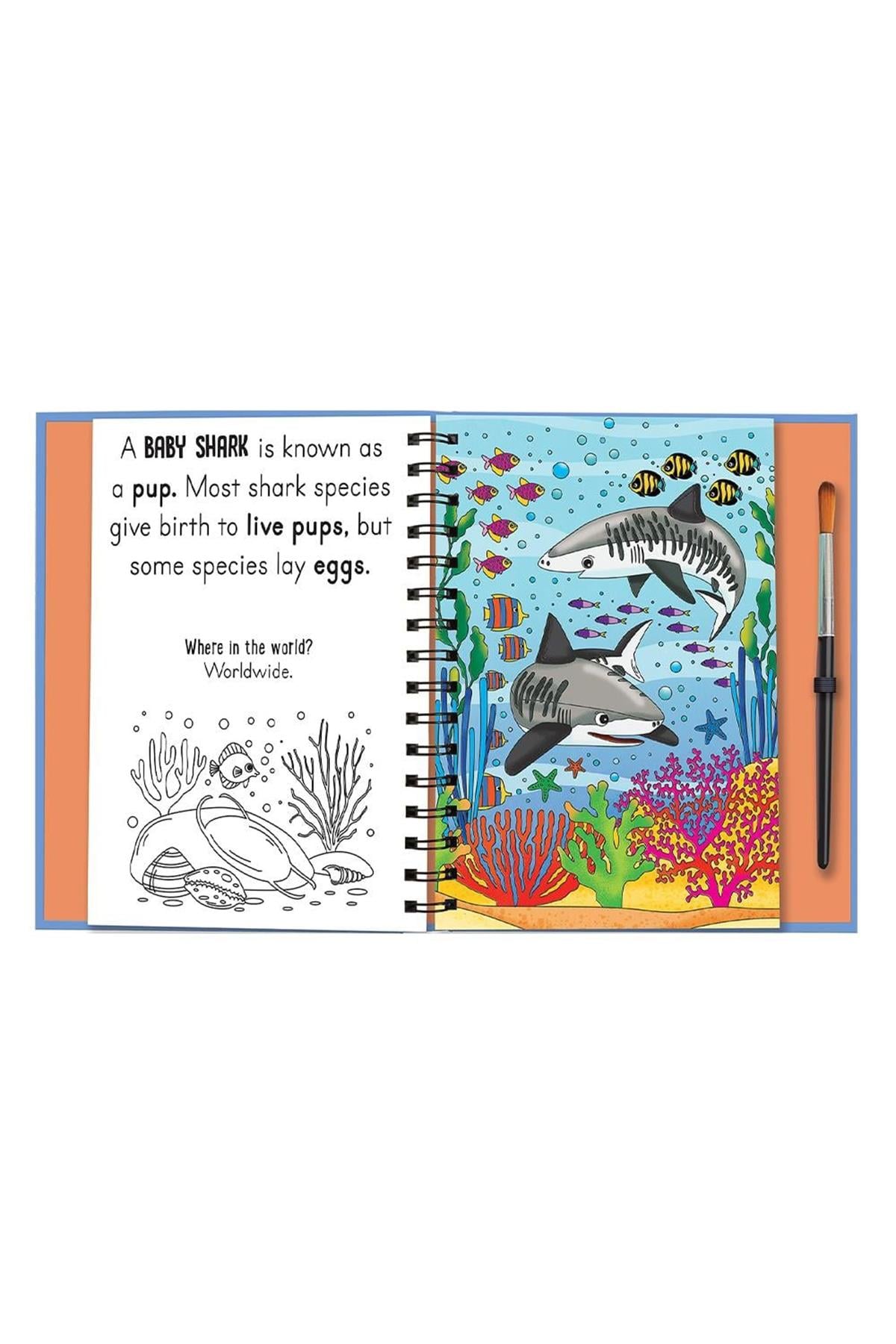 Imagine That / Magic Water Colouring - Baby Animals Çok Renkli