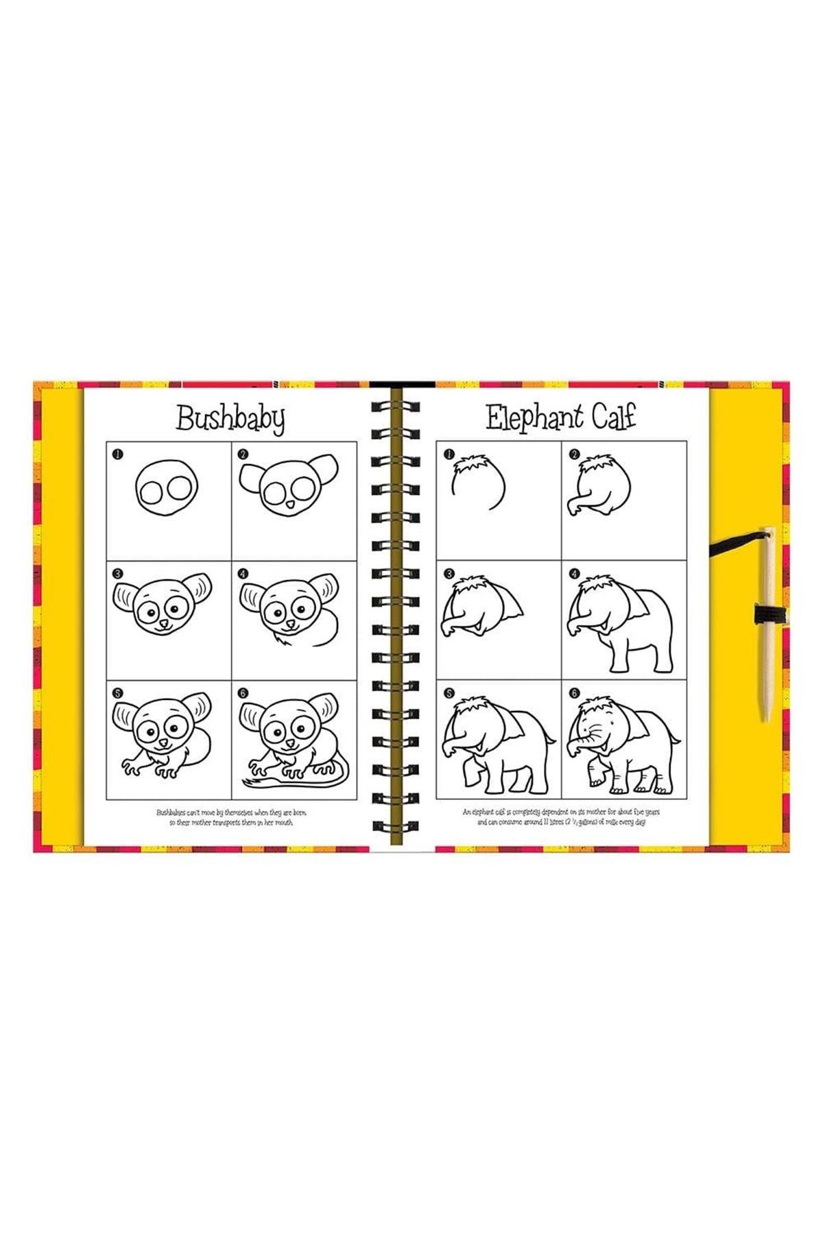 Imagine That /Scratch And Draw - Animals Çok Renkli