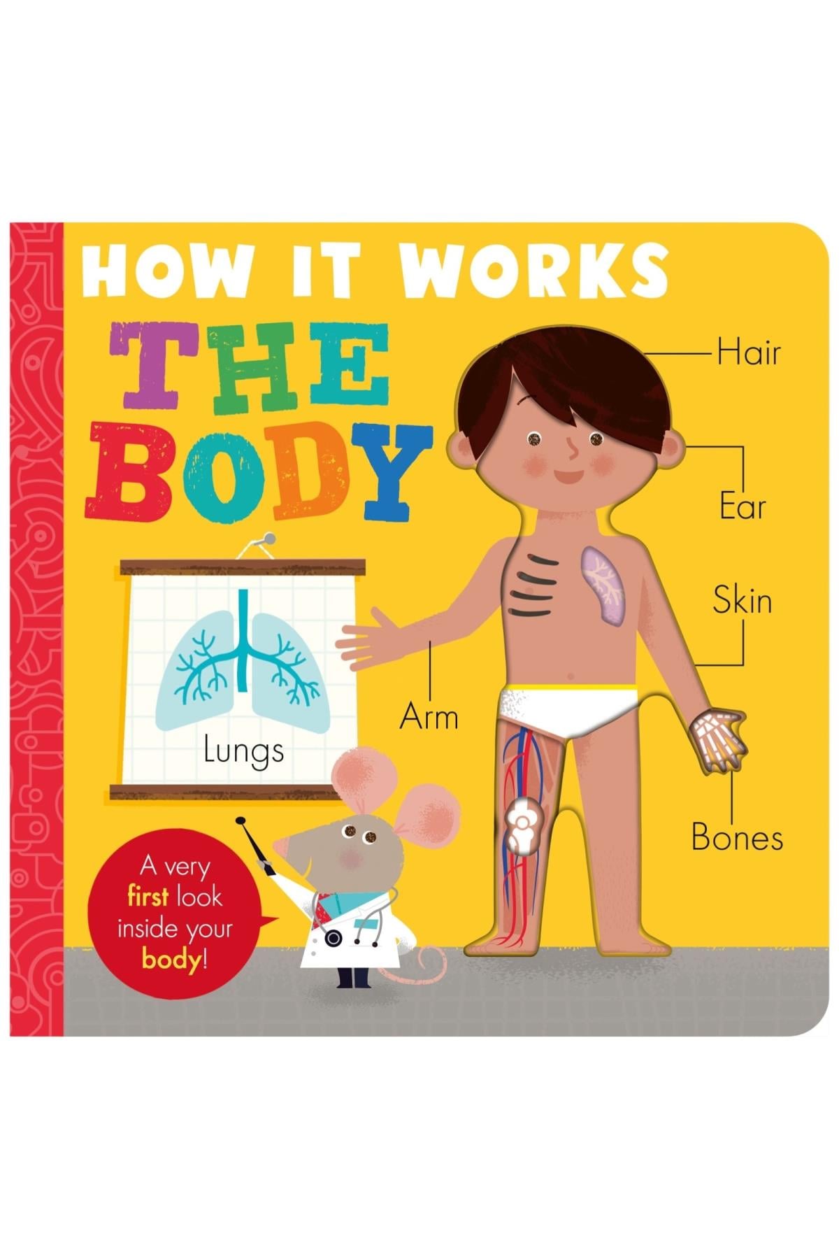 Little Tiger / How it Works - The Body Çok Renkli
