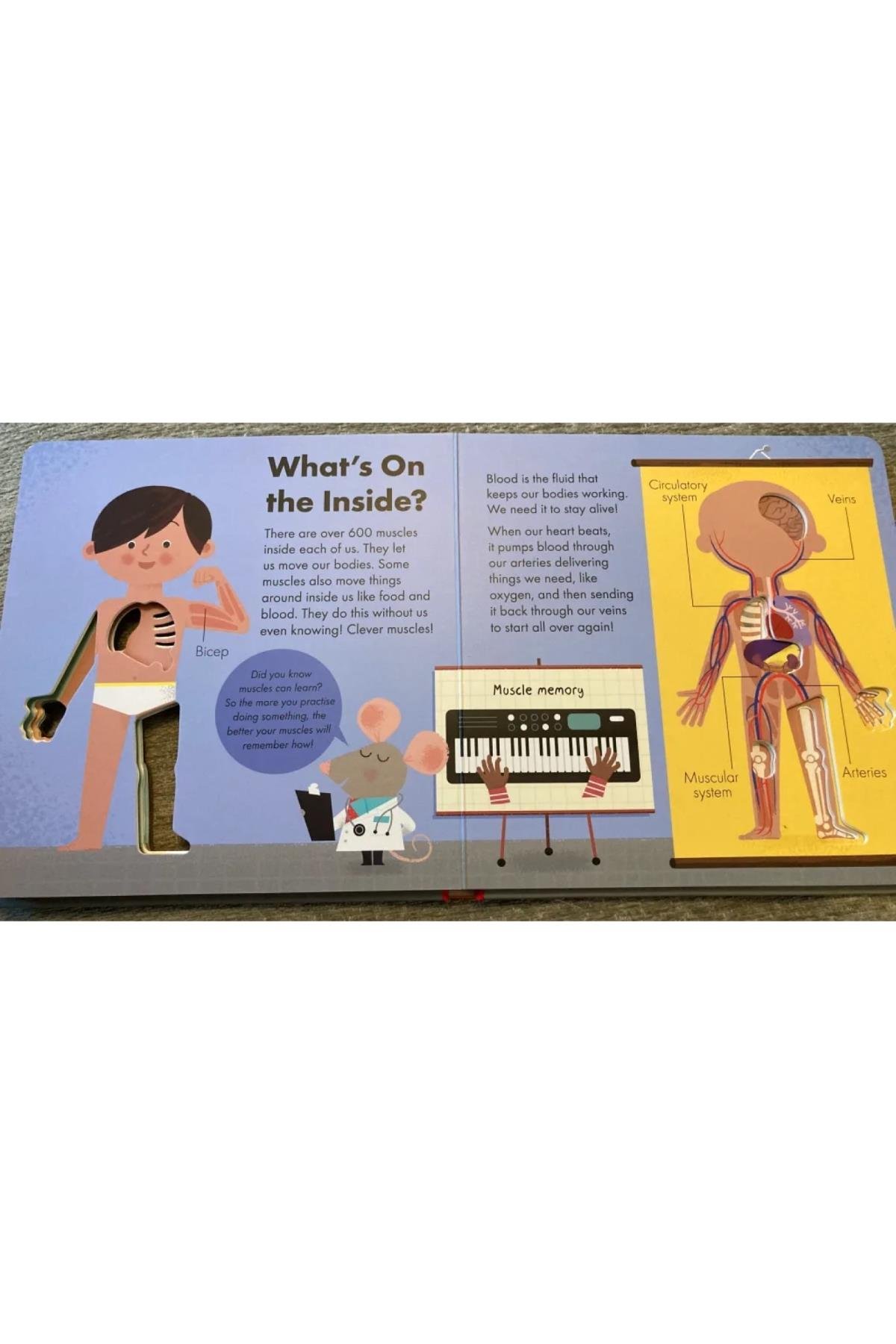 Little Tiger / How it Works - The Body Çok Renkli