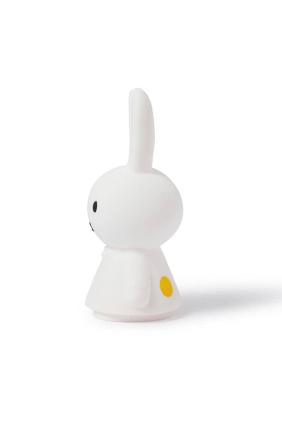 Mr. Maria / Miffy Shines Std