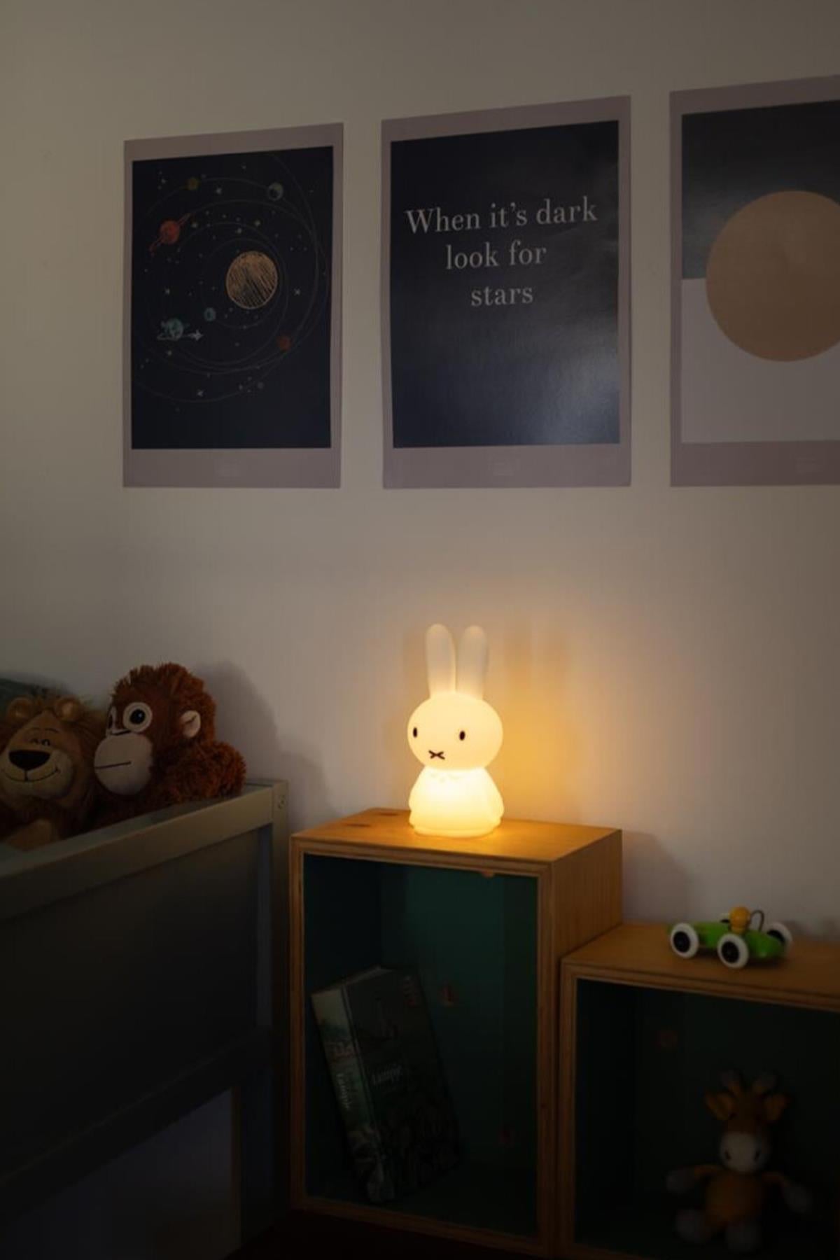 Mr. Maria / Miffy Shines Std