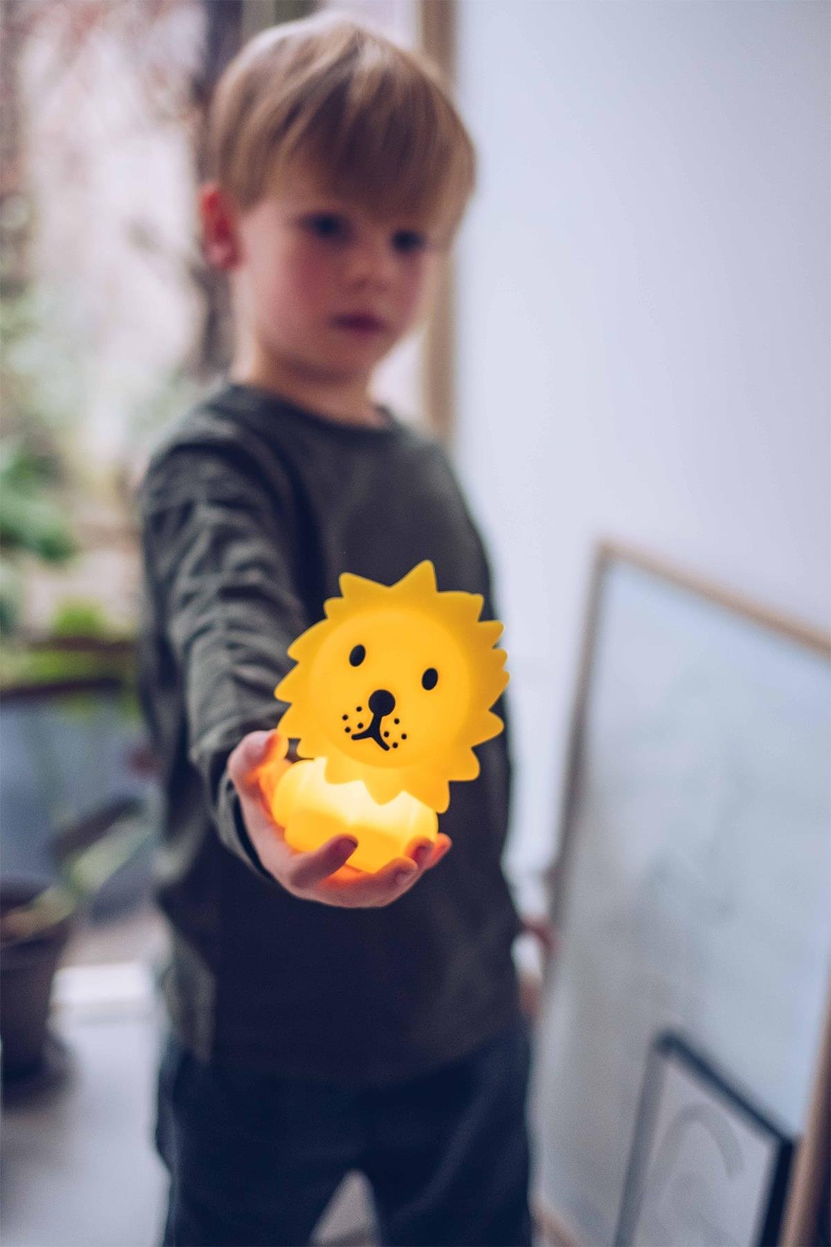 Mr. Maria / Mini Lion Lamba Std