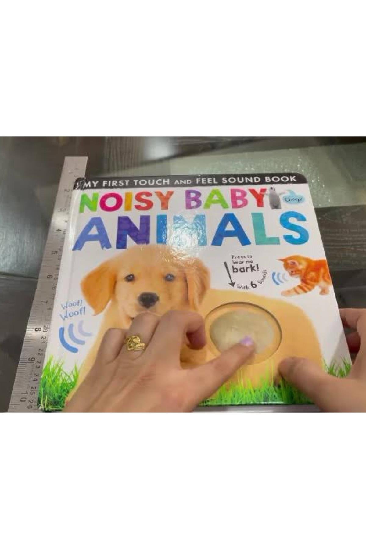 My FirstTouch And Feel Sound Book NoisyBaby Animal Çok Renkli