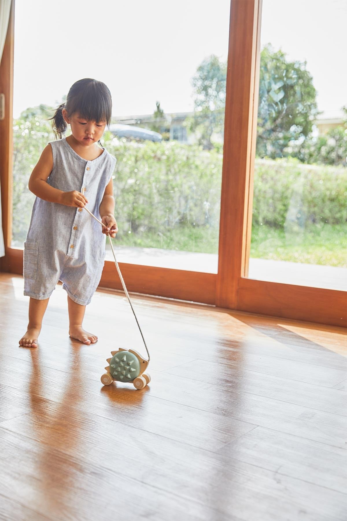 Plantoys / Mavi Çekme Kirpi Std
