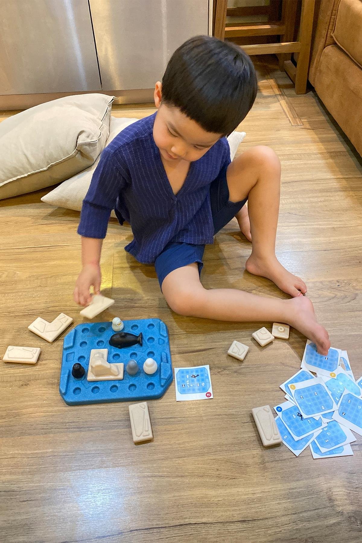 Plantoys / Penguen Bulmaca Seti Std