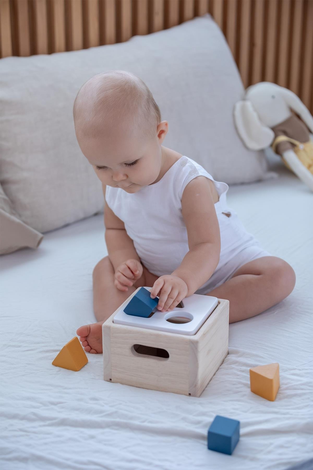 Plantoys / Şekil Kutusu Std