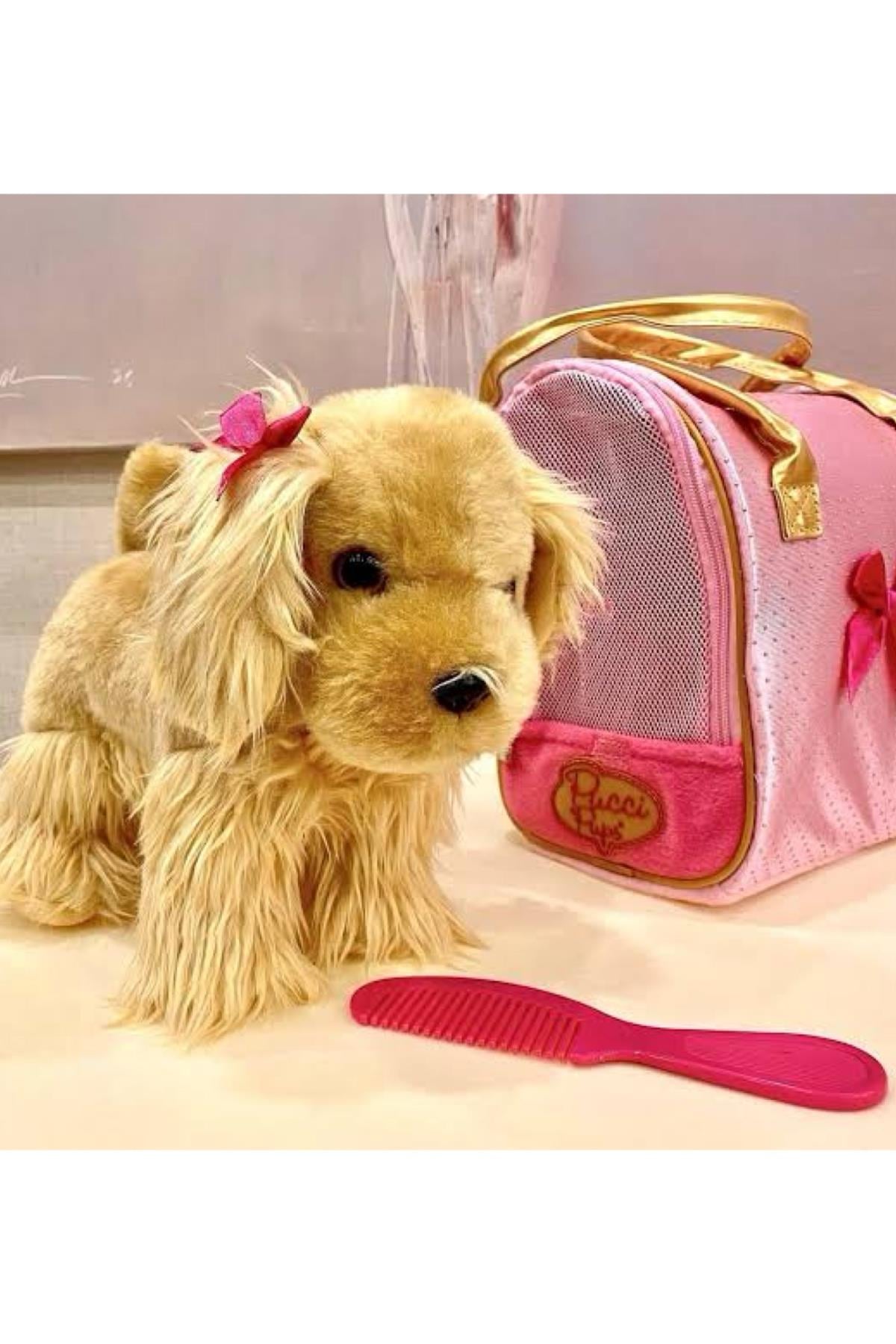 Pucci Pups C. Spaniel Çok Renkli