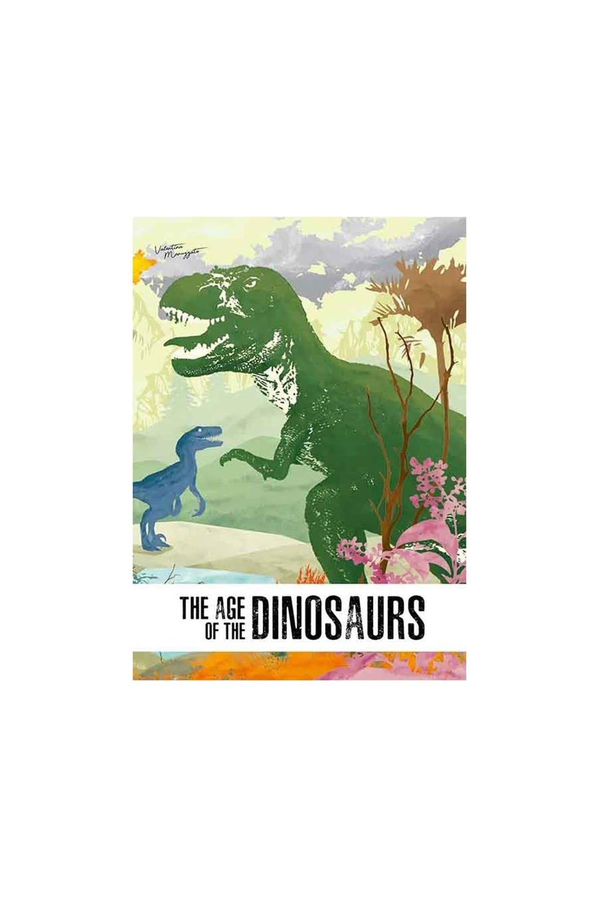 Sassi /3D STEGOSAURUS -BOOK AND 3D MODEL Çok Renkli
