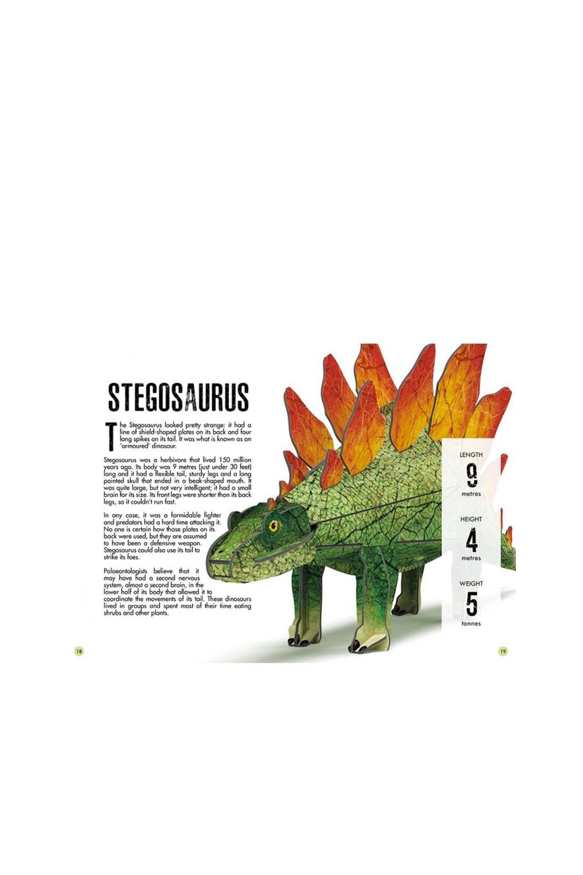 Sassi /3D STEGOSAURUS -BOOK AND 3D MODEL Çok Renkli