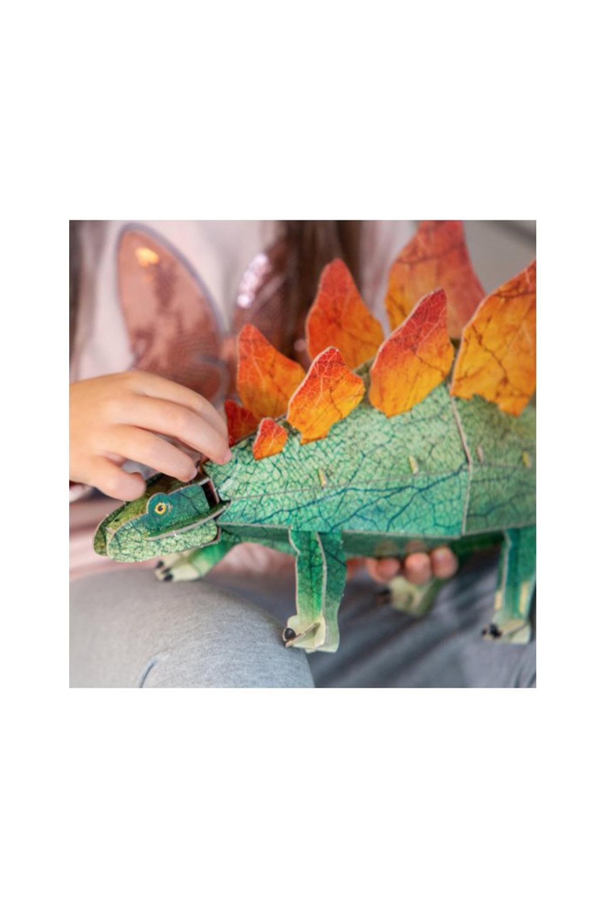 Sassi /3D STEGOSAURUS -BOOK AND 3D MODEL Çok Renkli