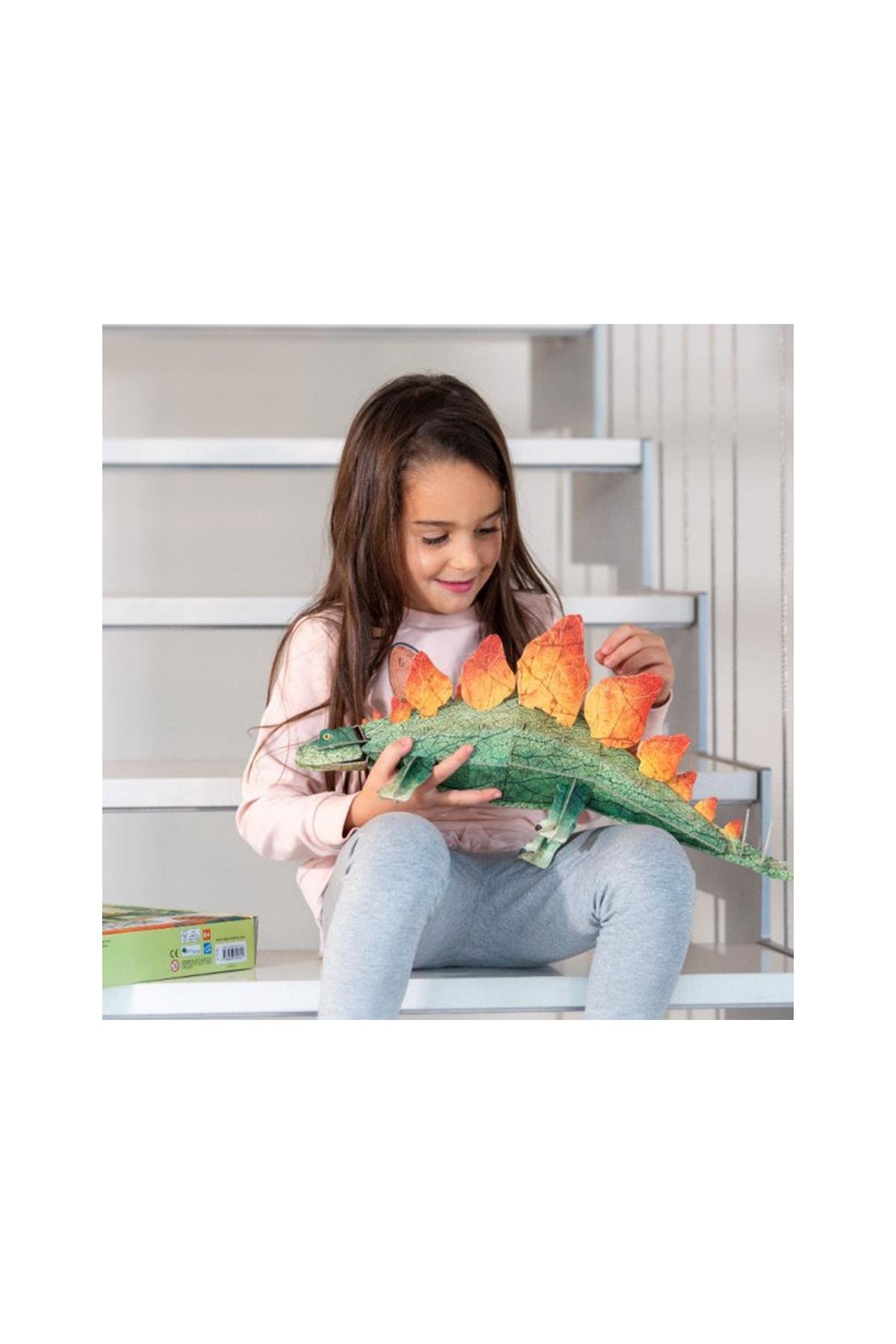 Sassi /3D STEGOSAURUS -BOOK AND 3D MODEL Çok Renkli