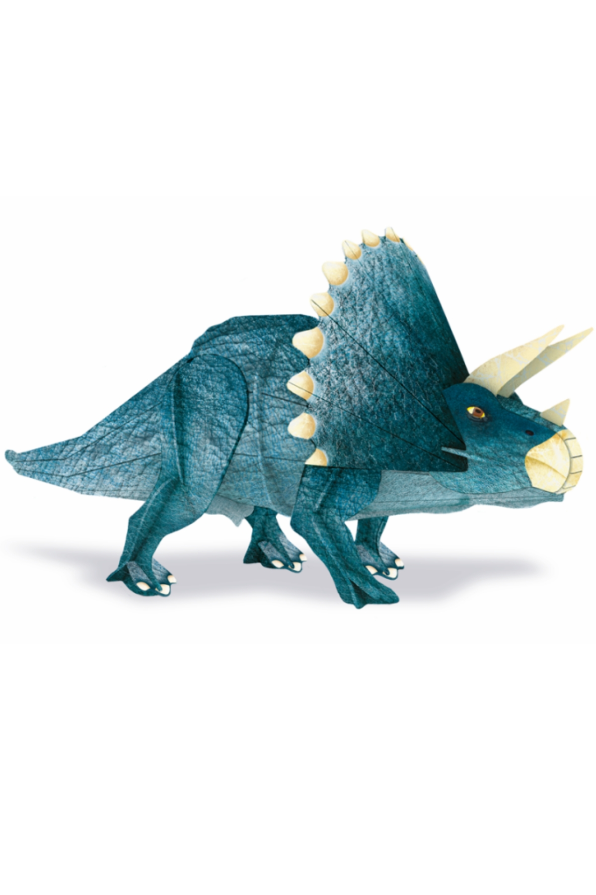 Sassi /3D TRICERATOPS - BOOK AND 3D MODEL Çok Renkli