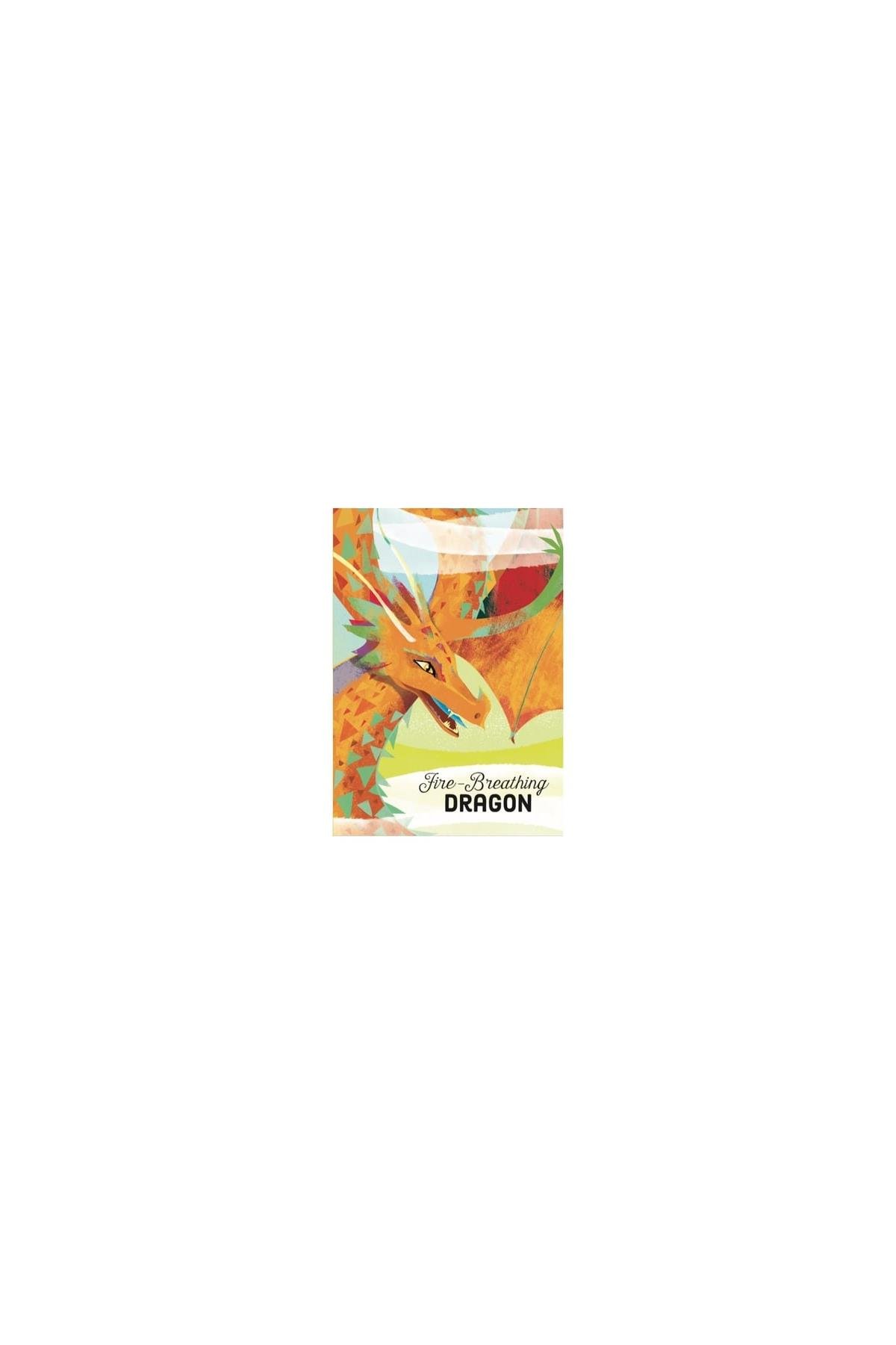 Sassi /DRAGON - BOOK AND PUZZLE Çok Renkli
