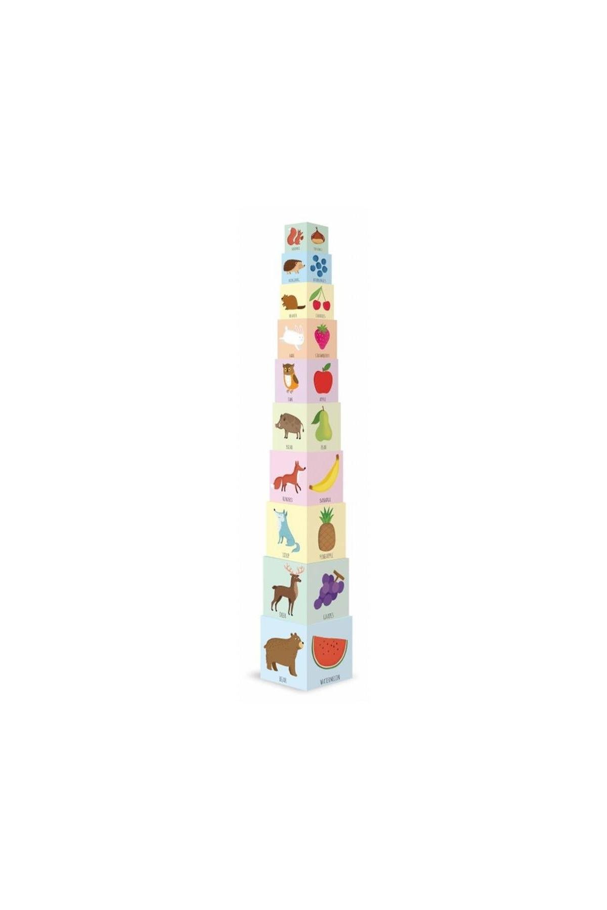 Sassi /ECO BLOCKS - PLAY AND LEARN Çok Renkli