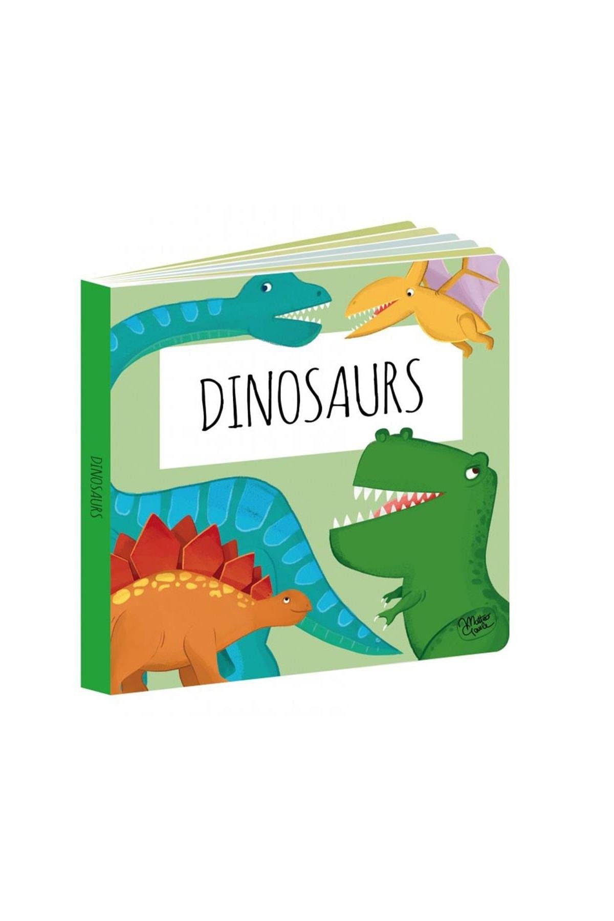 Sassi /EDU BLOCKS - DINOSAURS Çok Renkli