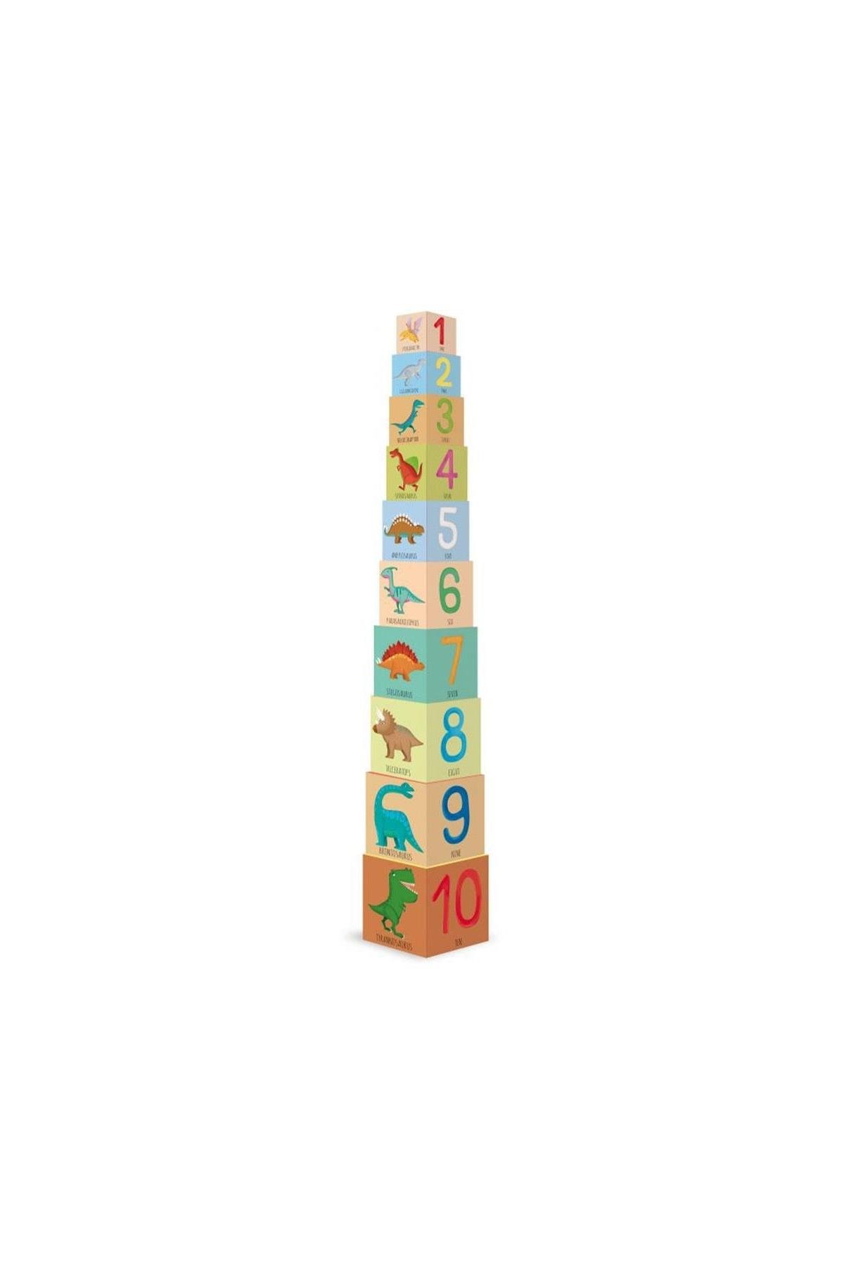 Sassi /EDU BLOCKS - DINOSAURS Çok Renkli
