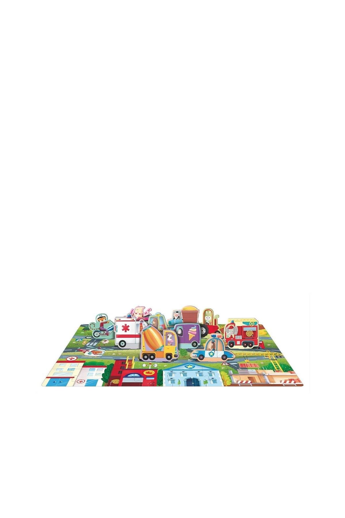Sassi /LEARN SHAPES WITH VEHICLES Çok Renkli