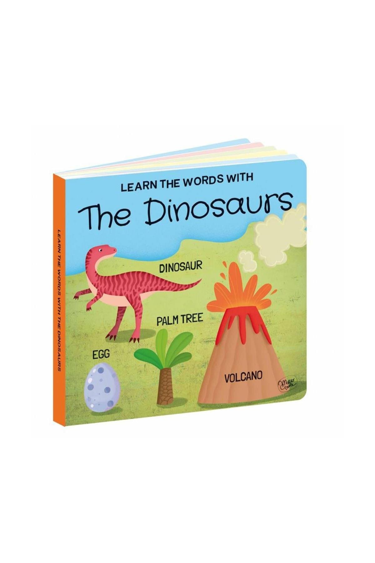 Sassi /LEARN THE WORDS WITH DINOSAURS Çok Renkli
