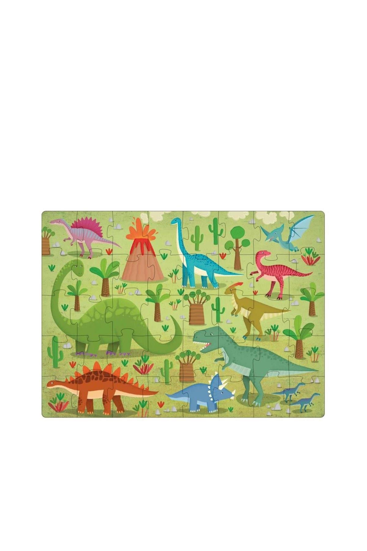 Sassi /LEARN THE WORDS WITH DINOSAURS Çok Renkli